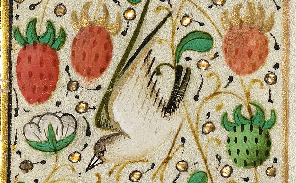 medieval border painting from a book with a bird among three red and one green strawberry